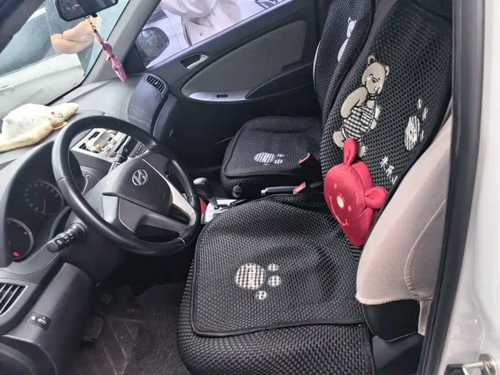 Hyundai Ruiyi — миниатюра 11