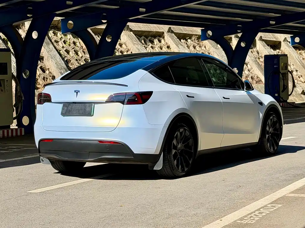 Tesla Model Y — миниатюра 4