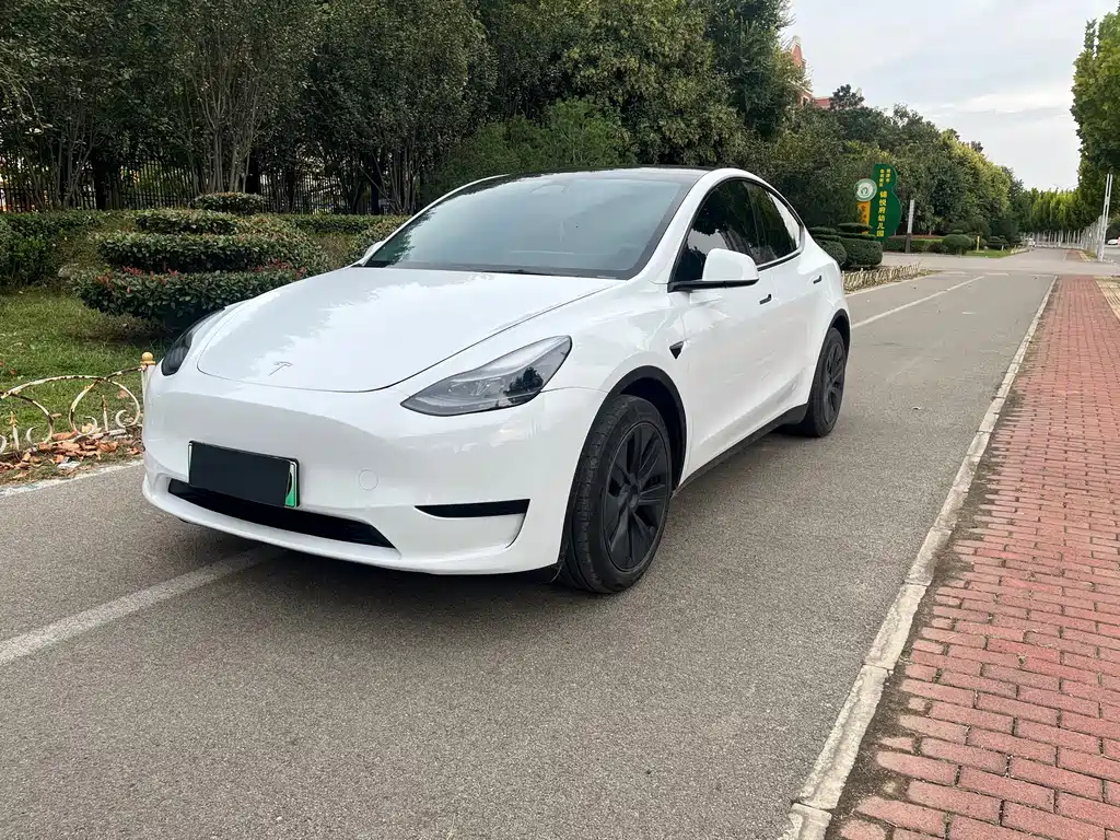 Tesla Model Y — миниатюра 3