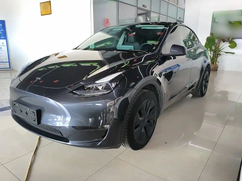 Tesla Model Y — миниатюра 2