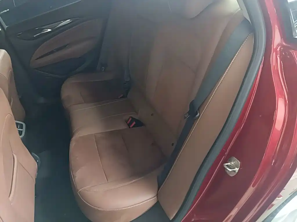 Buick Regal — миниатюра 17
