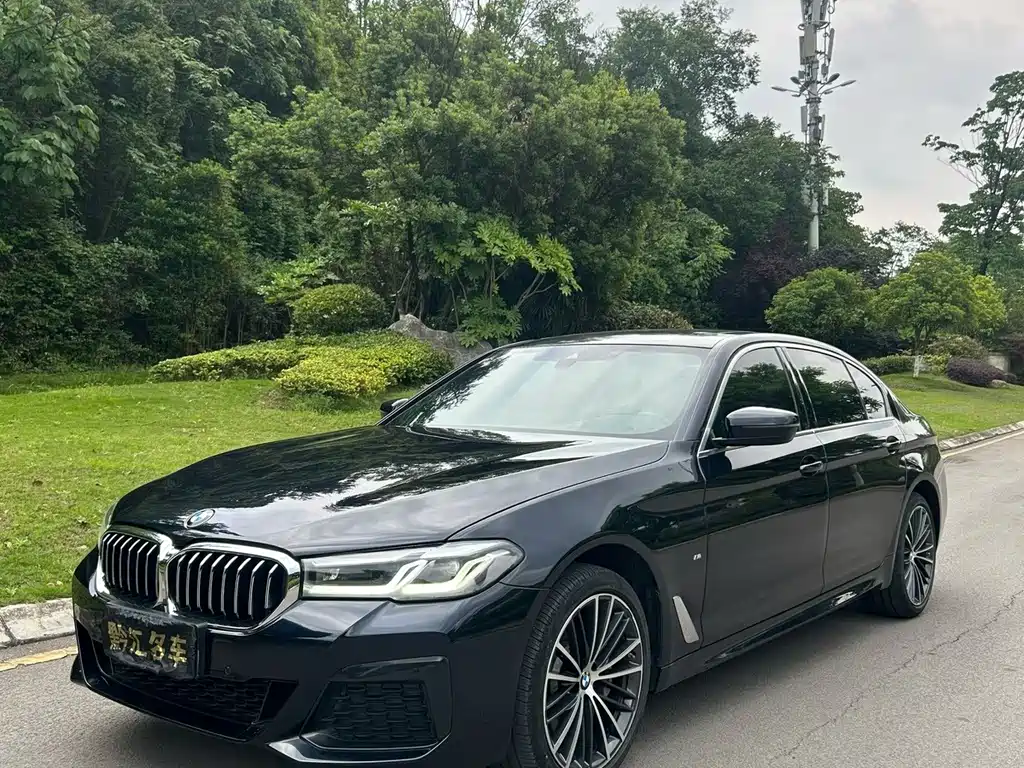 BMW 5 Series — миниатюра 2