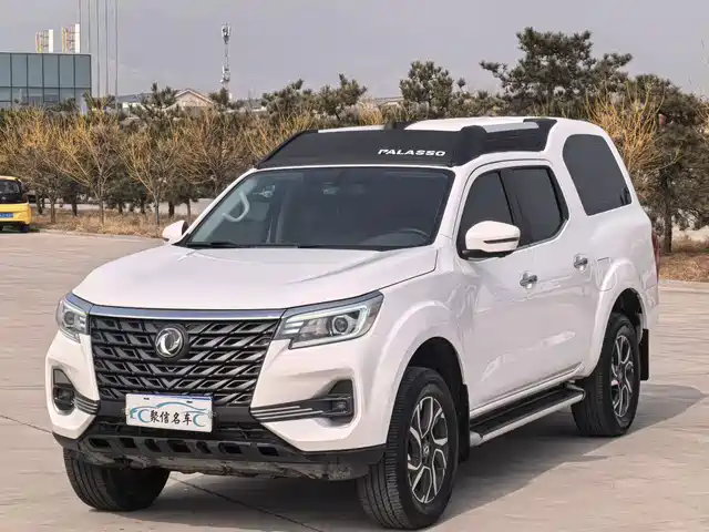 DONGFENG PALASSO