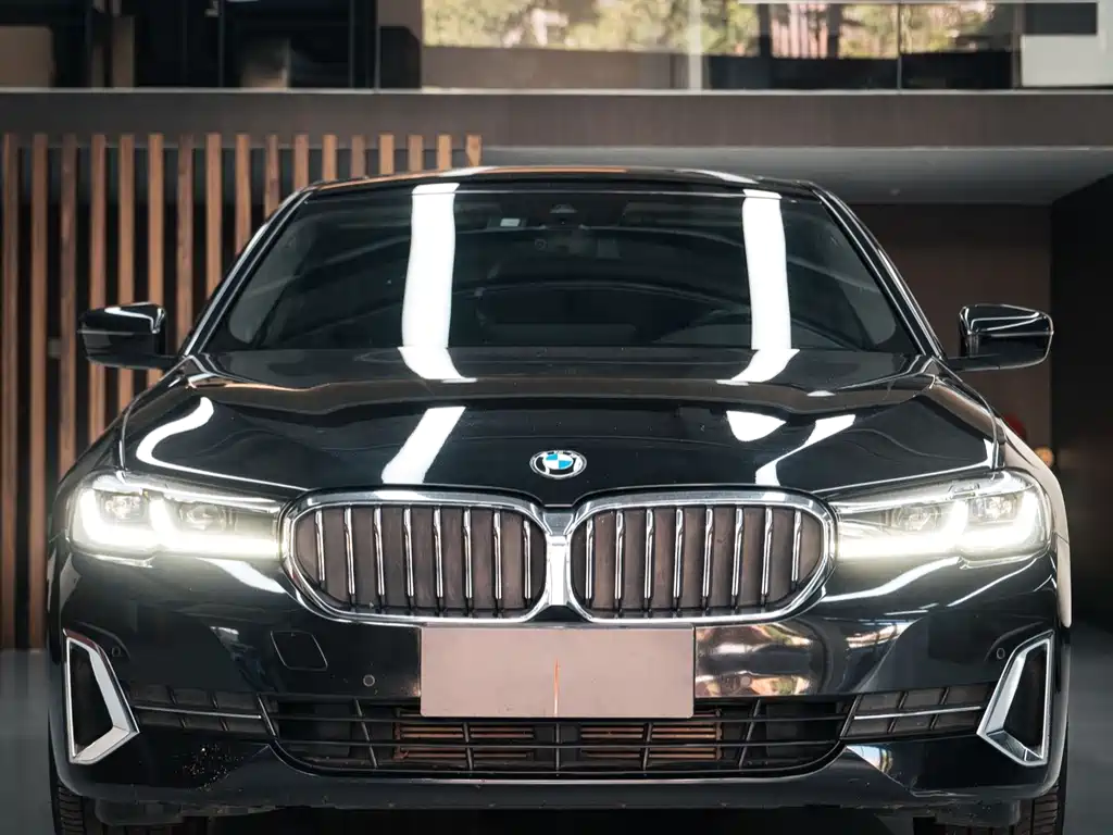 BMW 5 Series — миниатюра 2