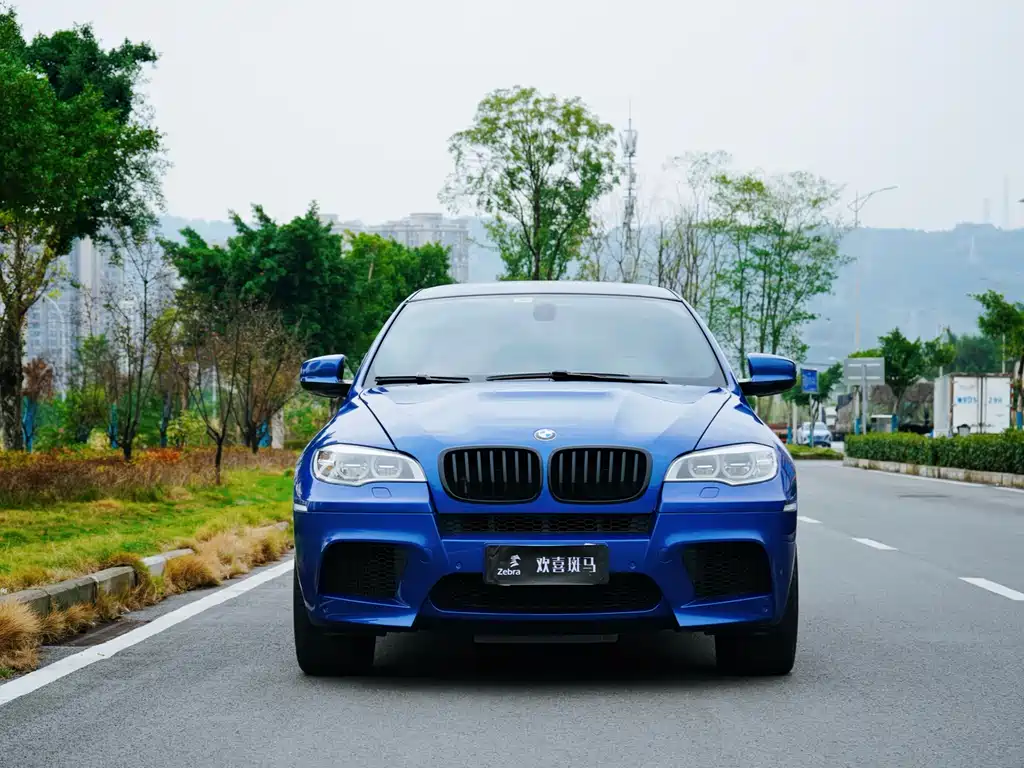 BMW X6 M 2010 X6 M