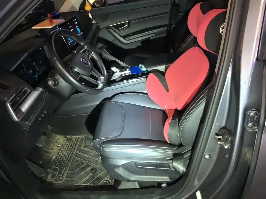 BYD Pro — миниатюра 11