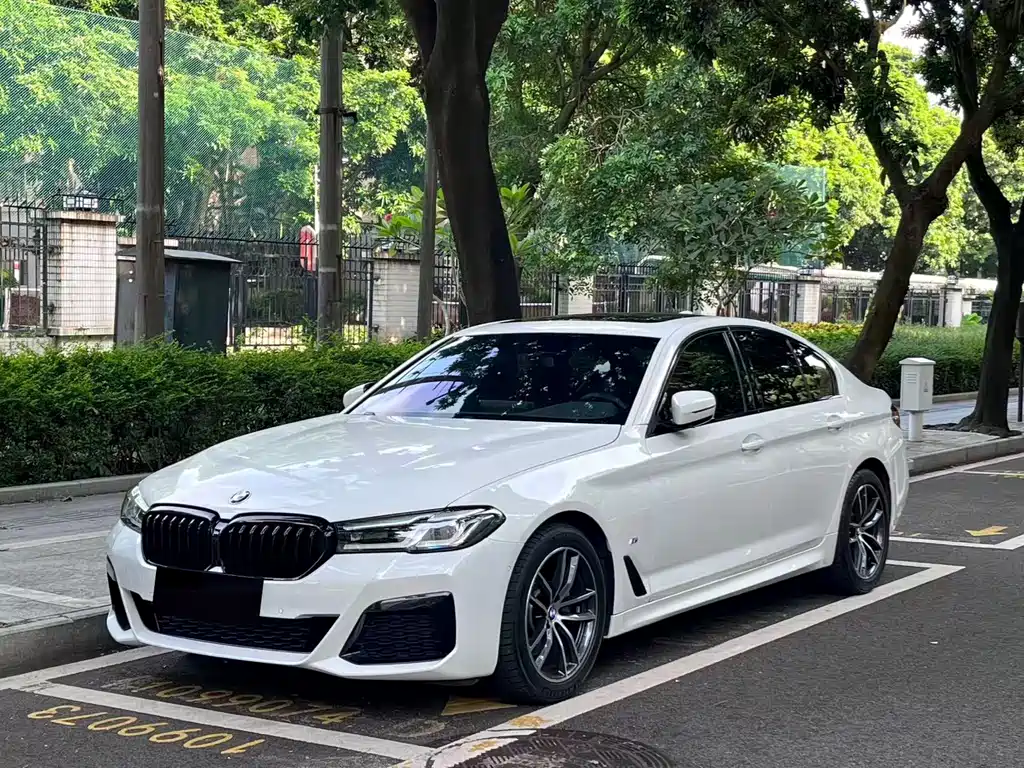 BMW 5 Series (Import)