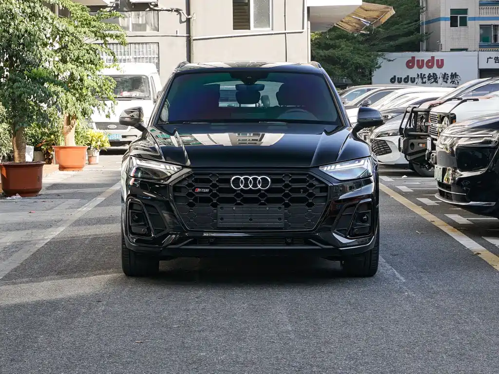 Audi SQ5 — миниатюра 2