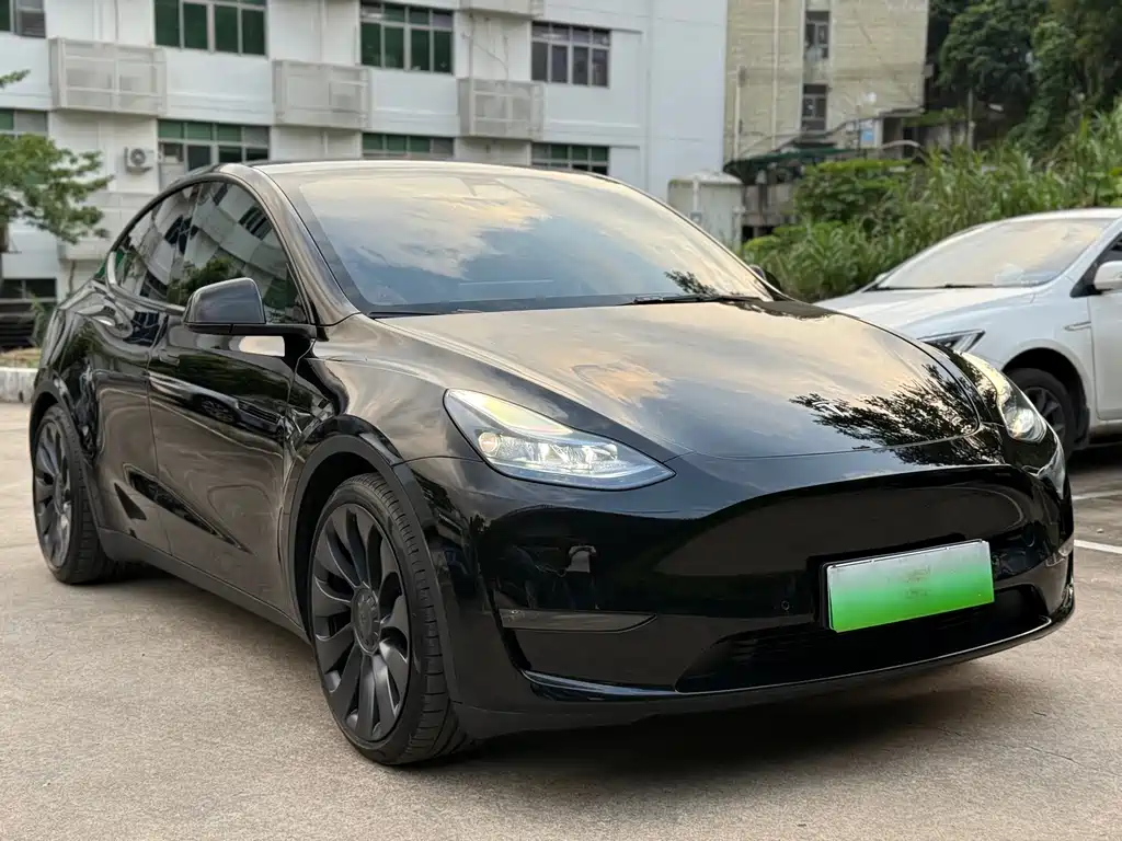 Tesla Model Y — миниатюра 3