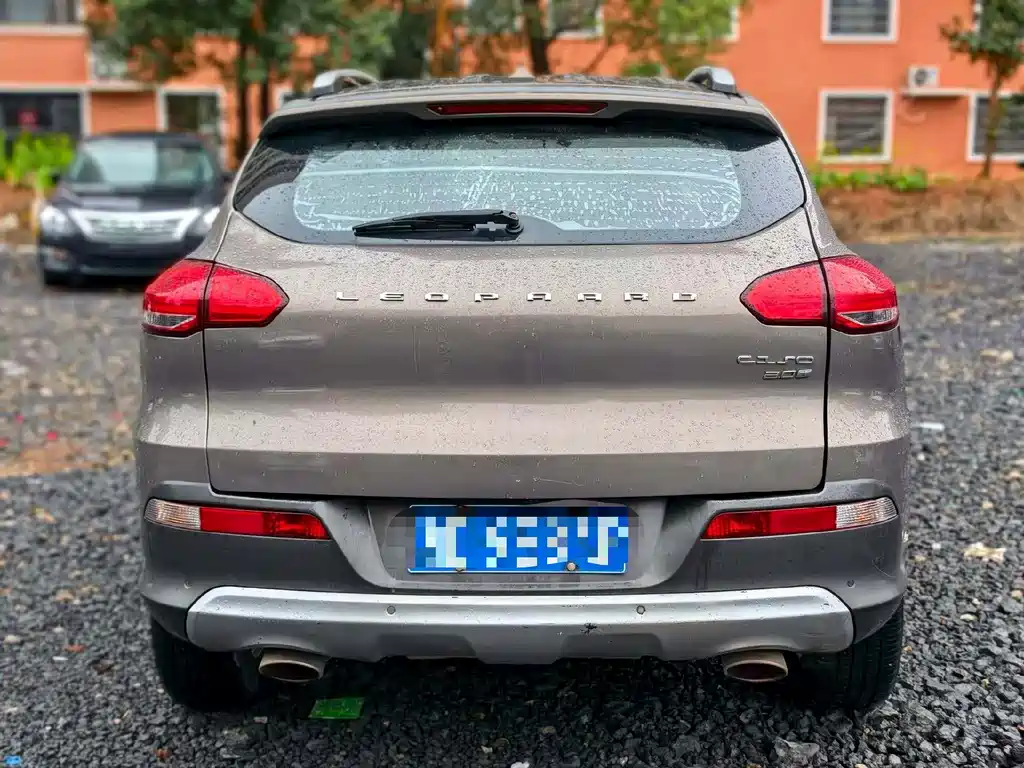 CHEETAH CARS CHEETAH CS10