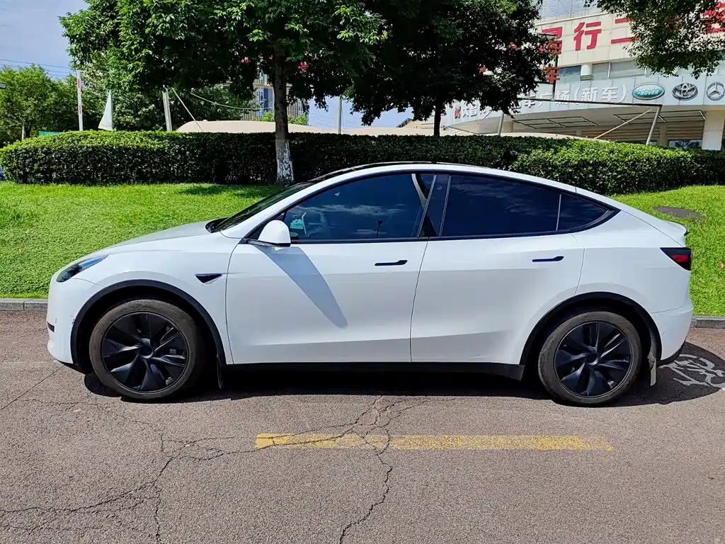 Tesla Model Y — миниатюра 3