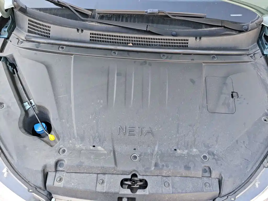 Neta Neta V — миниатюра 20