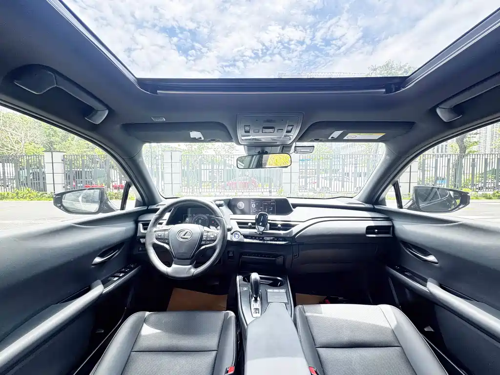 Lexus UX 2020 300e