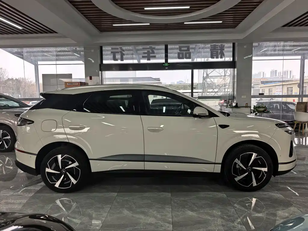 BYD SEA LION 06 NEW ENERGY