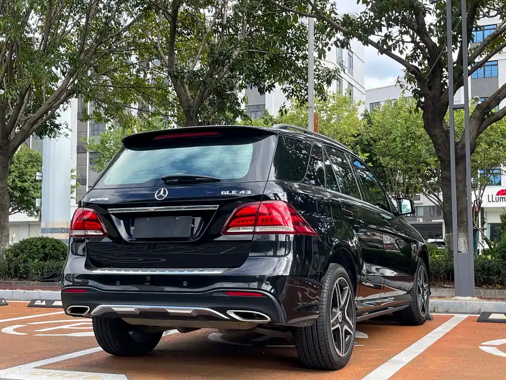 Mercedes-Benz GLE (Import) — миниатюра 9
