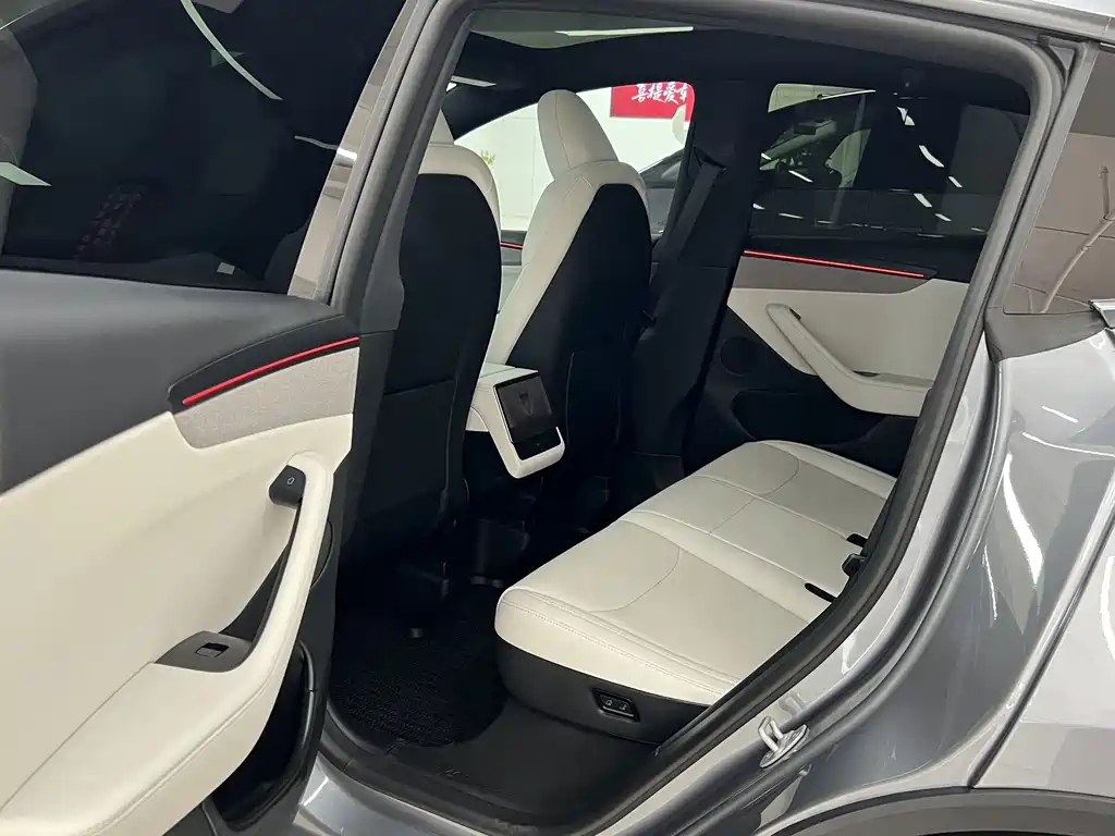 Tesla Model Y — миниатюра 11