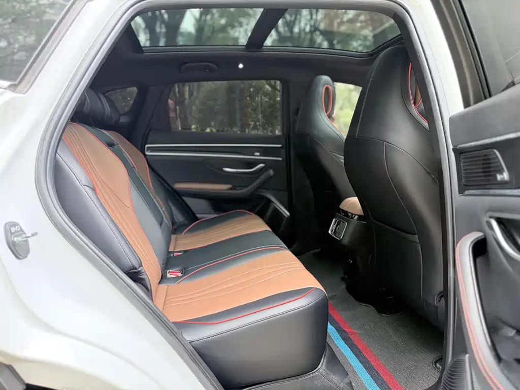 BYD PLUS — миниатюра 12