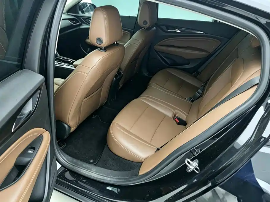 Buick Regal — миниатюра 11