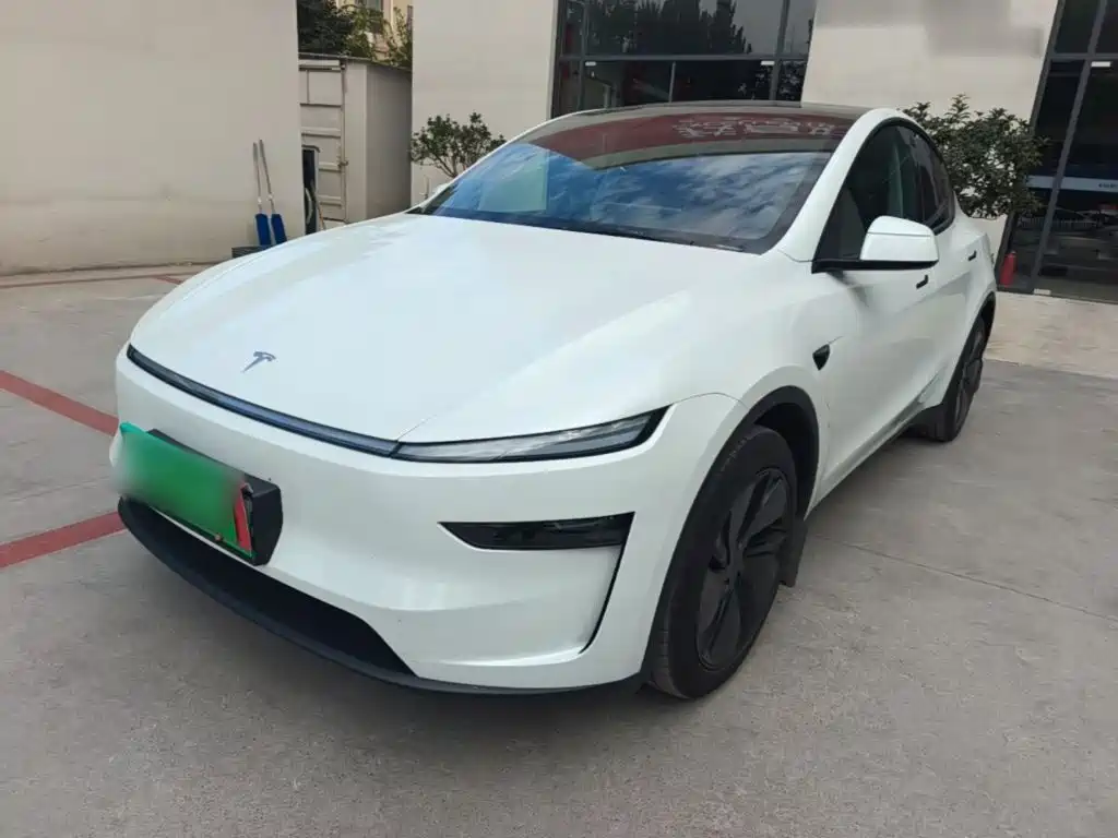 Tesla Model Y — миниатюра 2