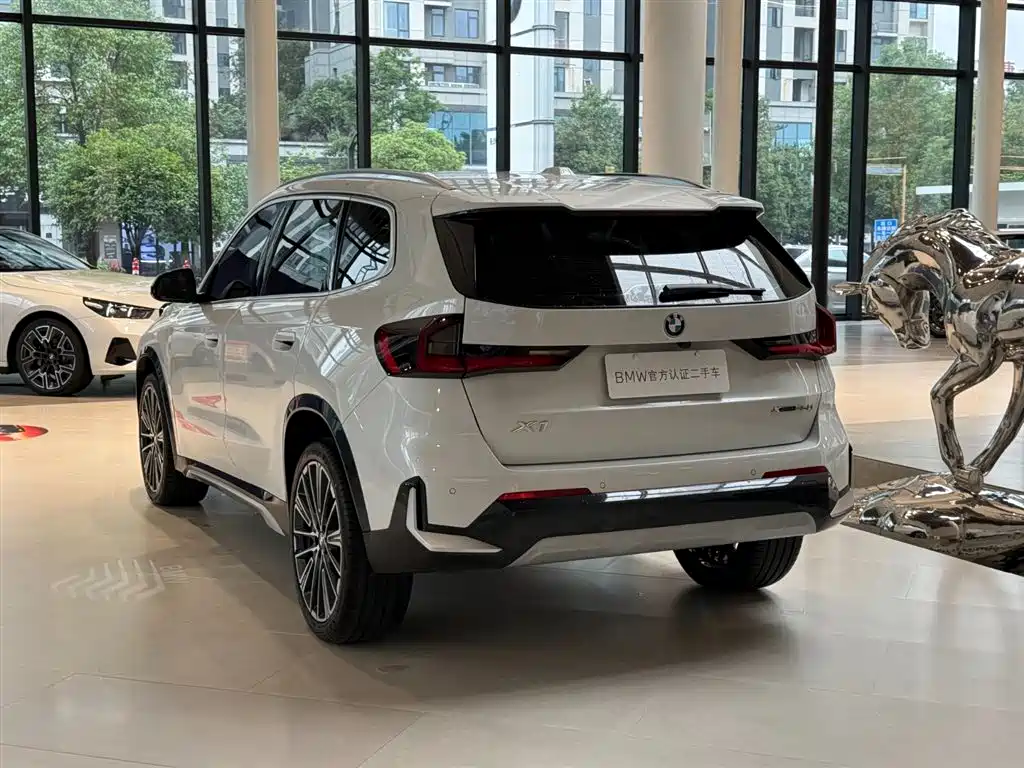 BMW X1 — миниатюра 6