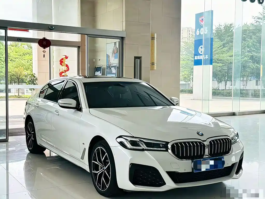 BMW 5 Series — миниатюра 2