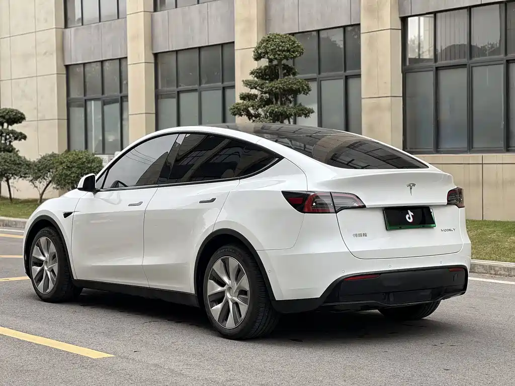Tesla Model Y — миниатюра 15