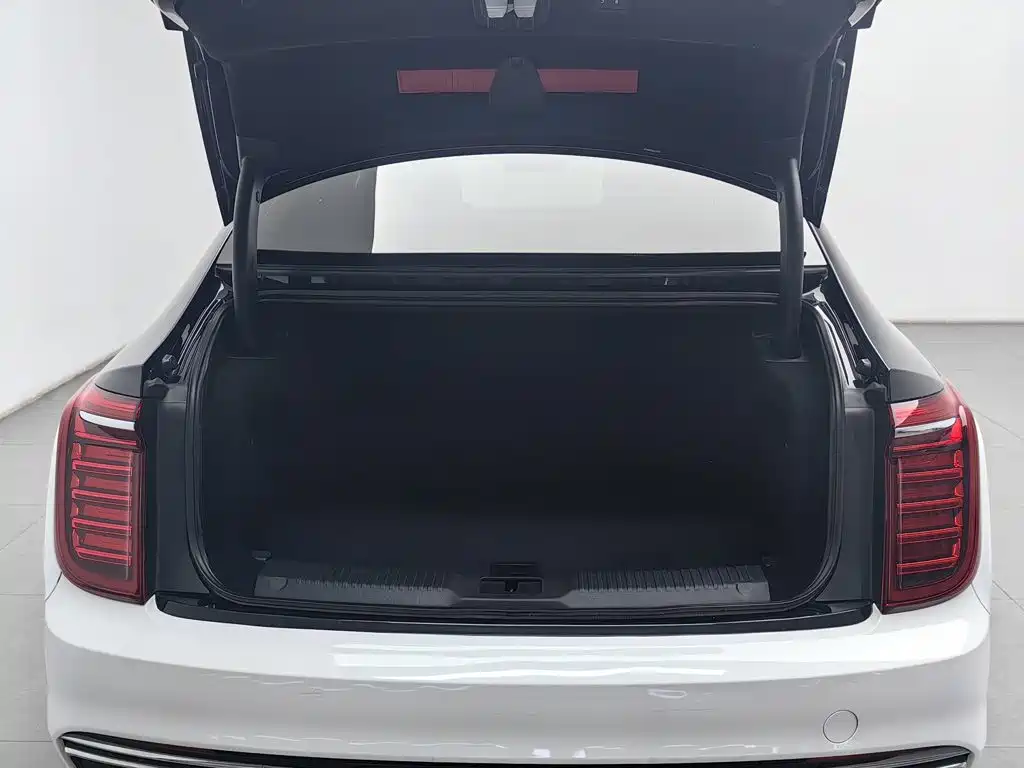 Hongqi Hongqi H9 — миниатюра 16