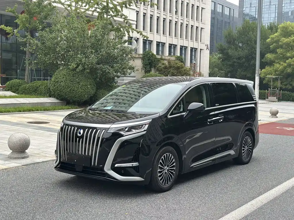 Denza Denza D9 — миниатюра 2