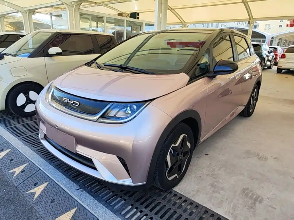 BYD Dolphin — миниатюра 2