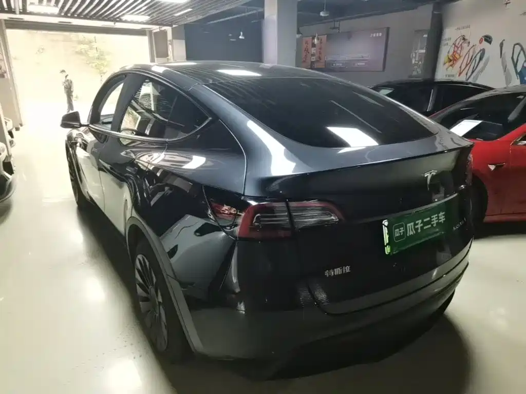 Tesla Model Y — миниатюра 5