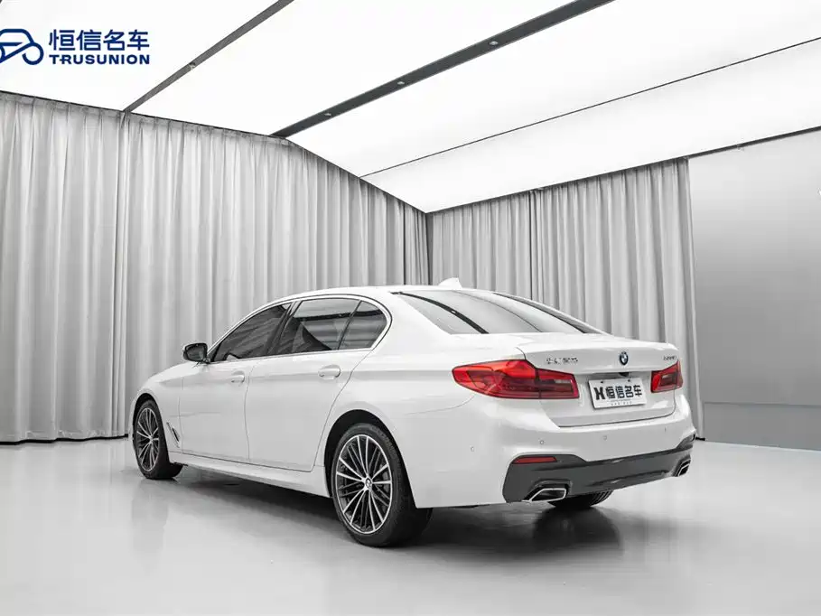 BMW 5 Series 5 2020 530Li Lead M Sport