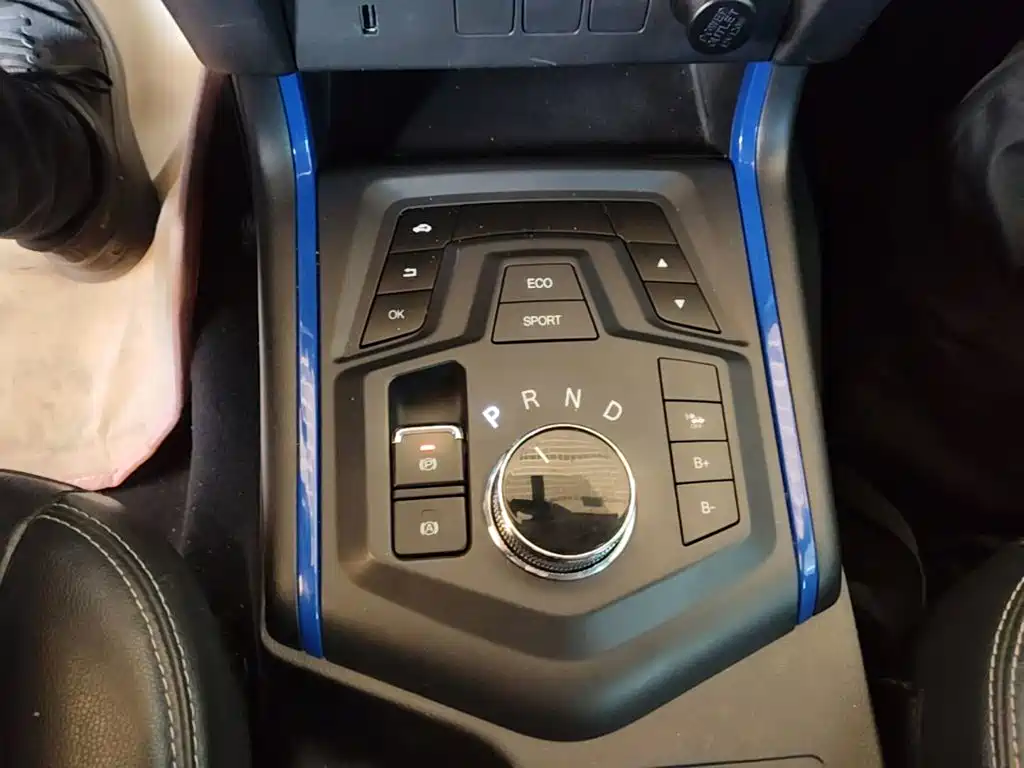 Dongfeng Rich 6 New Energy — миниатюра 14