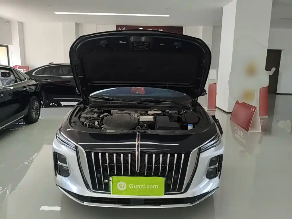 Hongqi Hongqi H5 PHEV — миниатюра 20