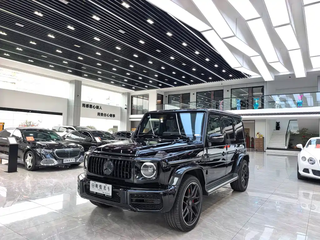 MERCEDES-BENZ G CLASS