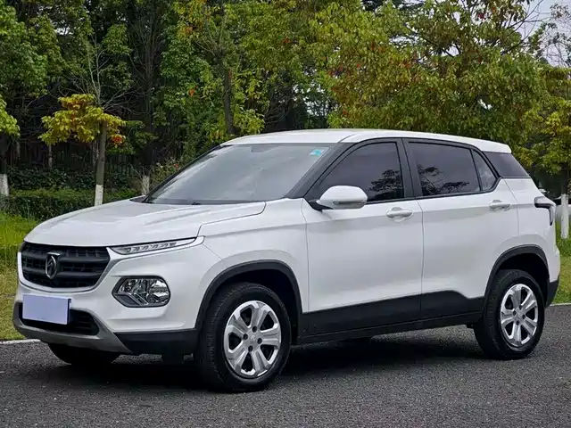BAOJUN 510