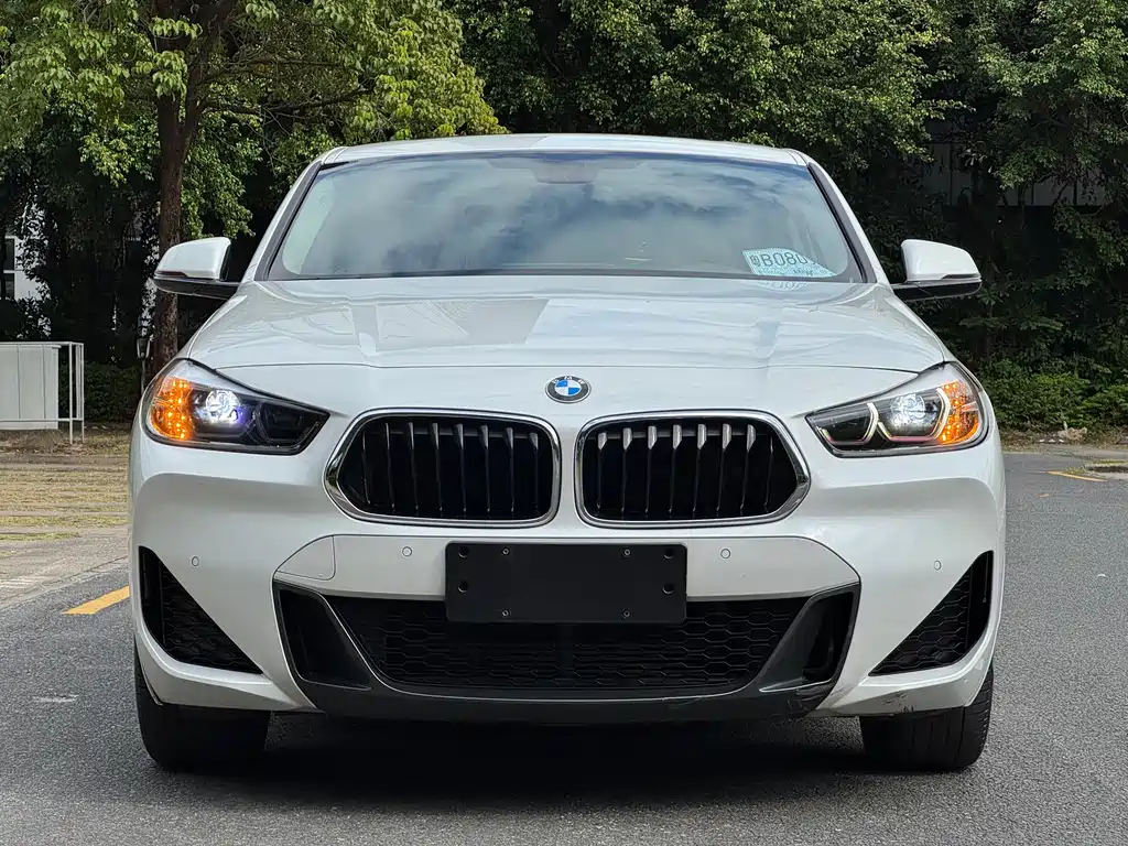 BMW X2 — миниатюра 2