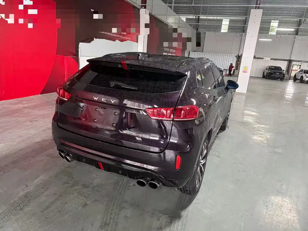 WEI PAI WEI BRAND VV7