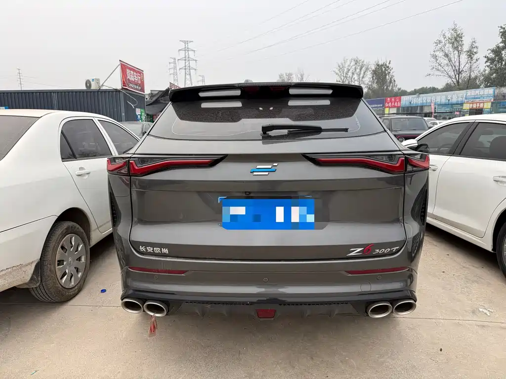 Oshan Oushang Z6 — миниатюра 8