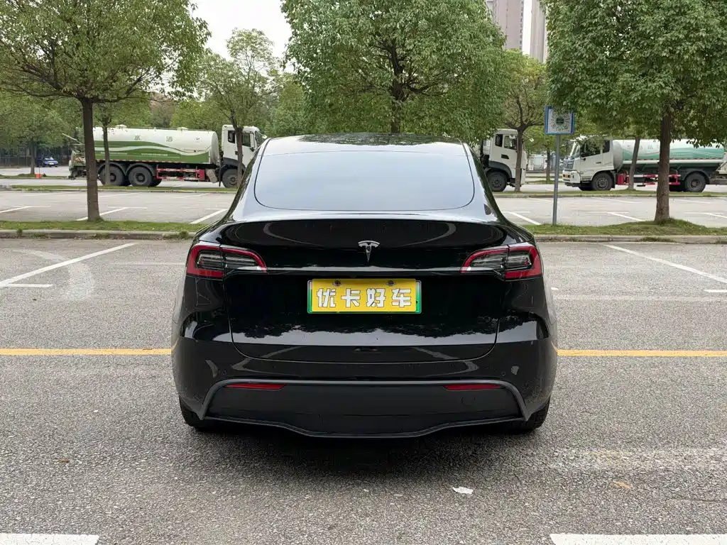 Tesla Model Y — миниатюра 5