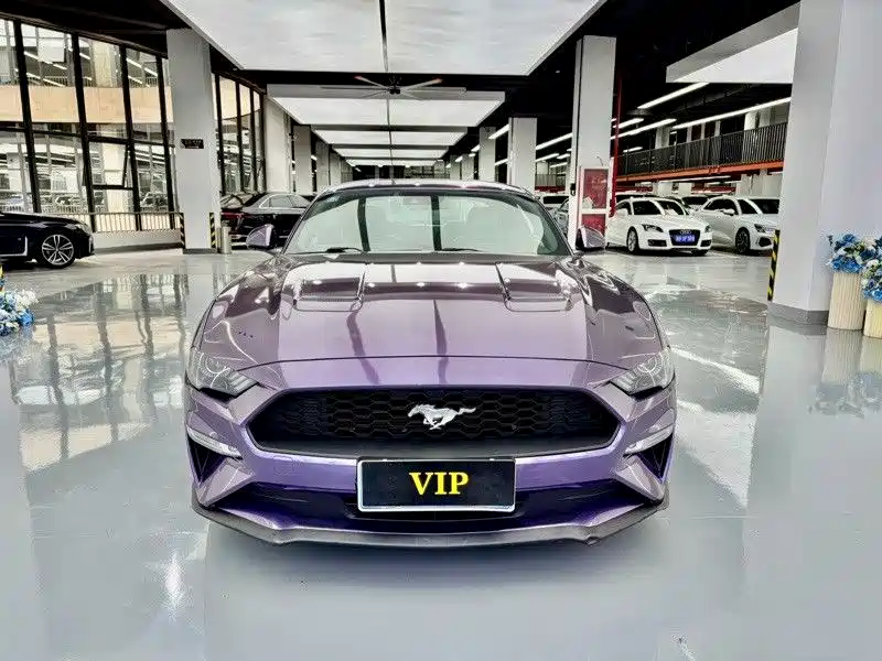 Ford Mustang — миниатюра 2