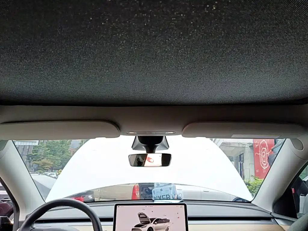 Tesla Model Y — миниатюра 18