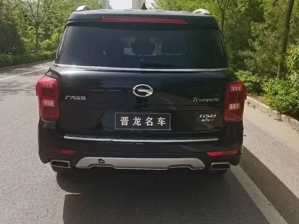 GAC Motor Trumpchi GS8 — миниатюра 8