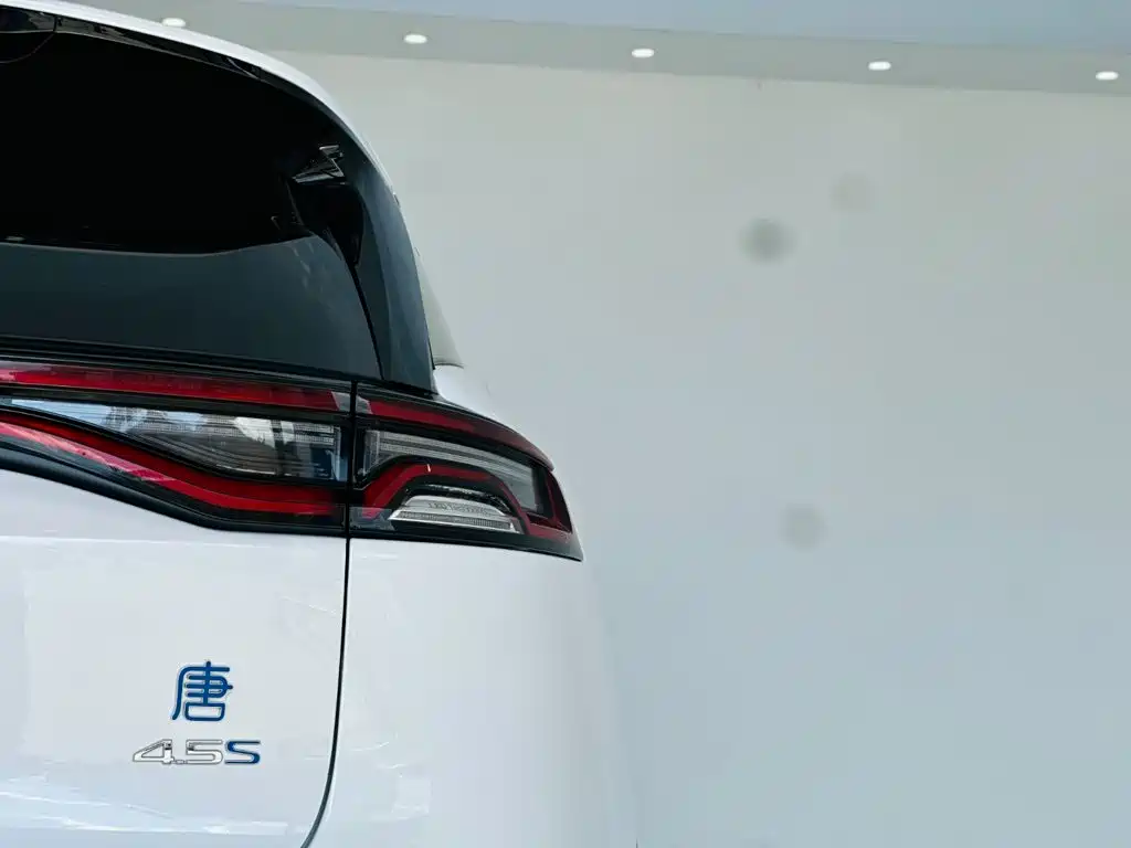 BYD Tang New Energy — миниатюра 11