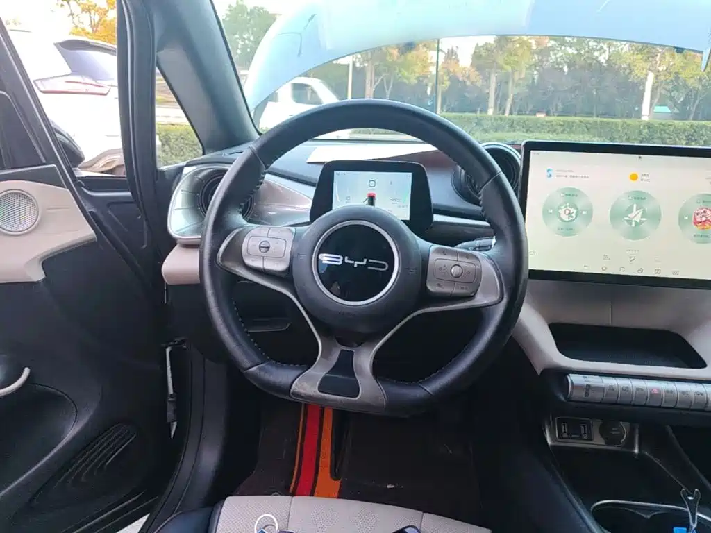 BYD Dolphin — миниатюра 11