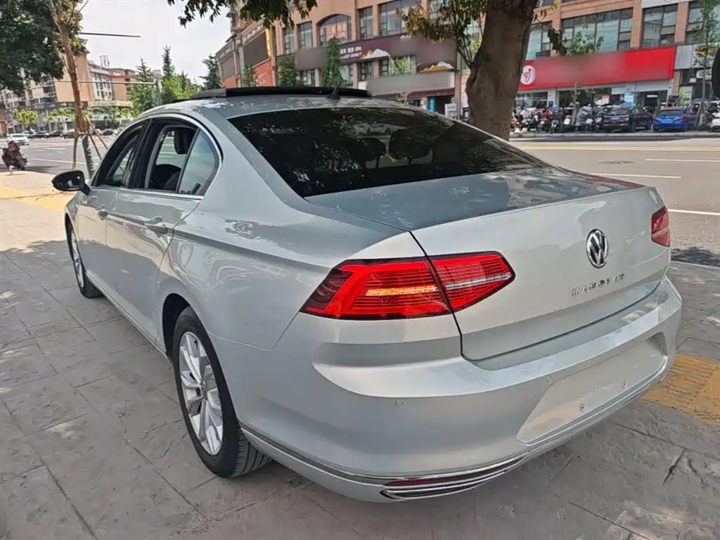 Volkswagen Magotan 2019 330TSI DSG Luxury VI