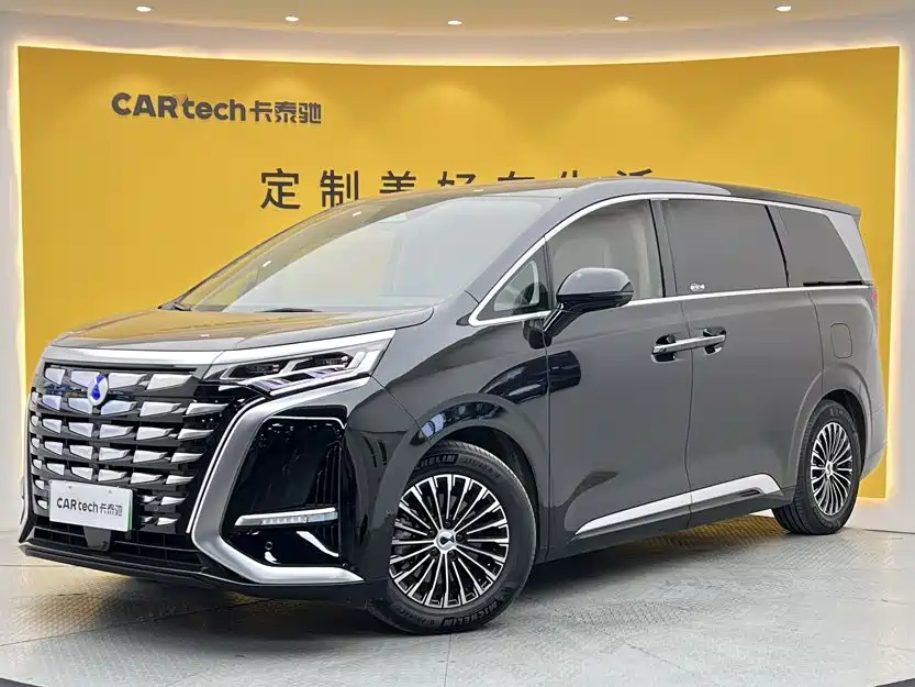 Denza Denza D9 — миниатюра 14