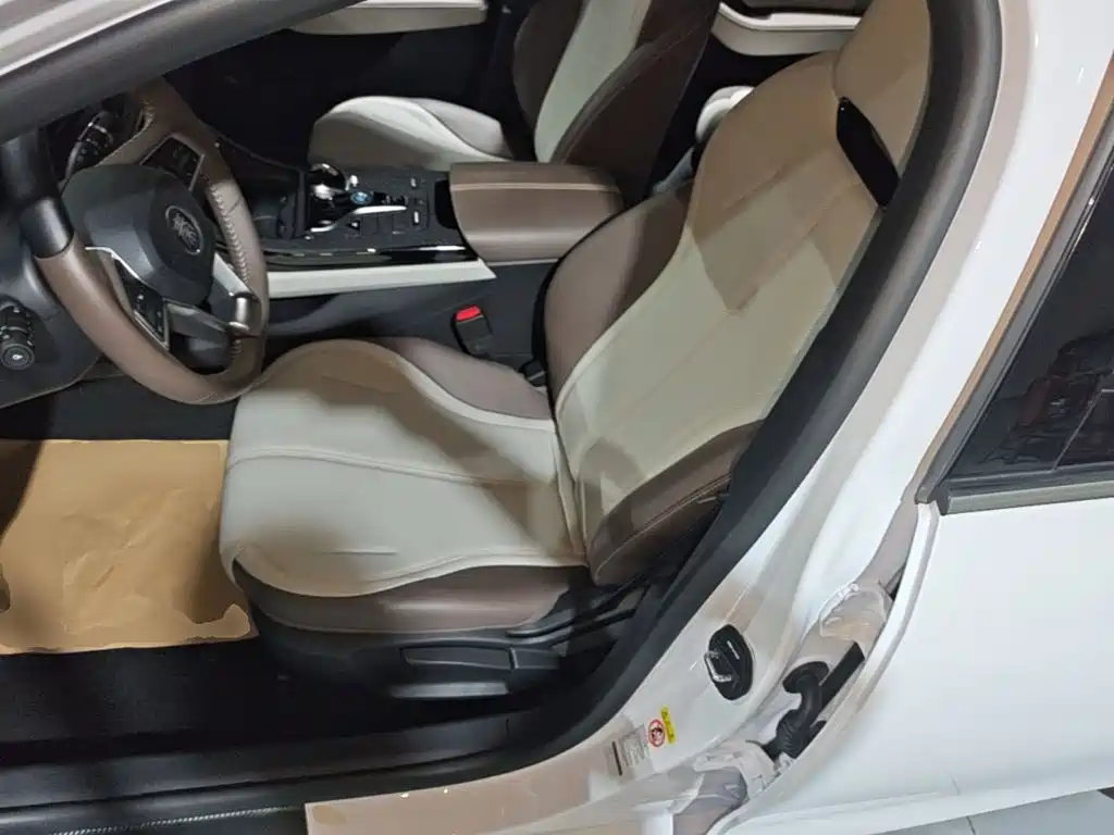 BYD Qin PLUS — миниатюра 15