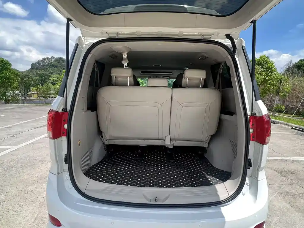 SAIC MAXUS CHASE G10