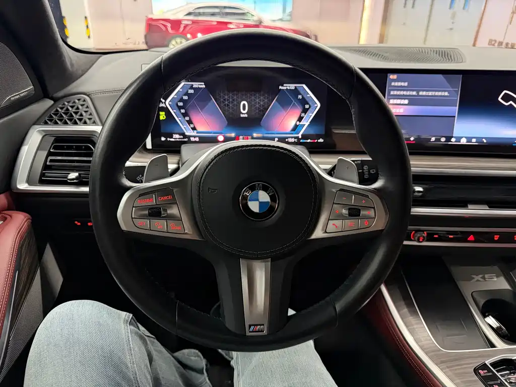 BMW X5 — миниатюра 10
