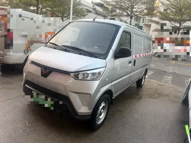 WULING WULING RONGGUANG EV 2020